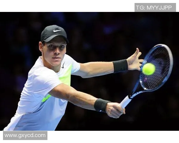 伯蒂奇与蒂姆的巅峰对决谁能在网球赛场上笑到最后